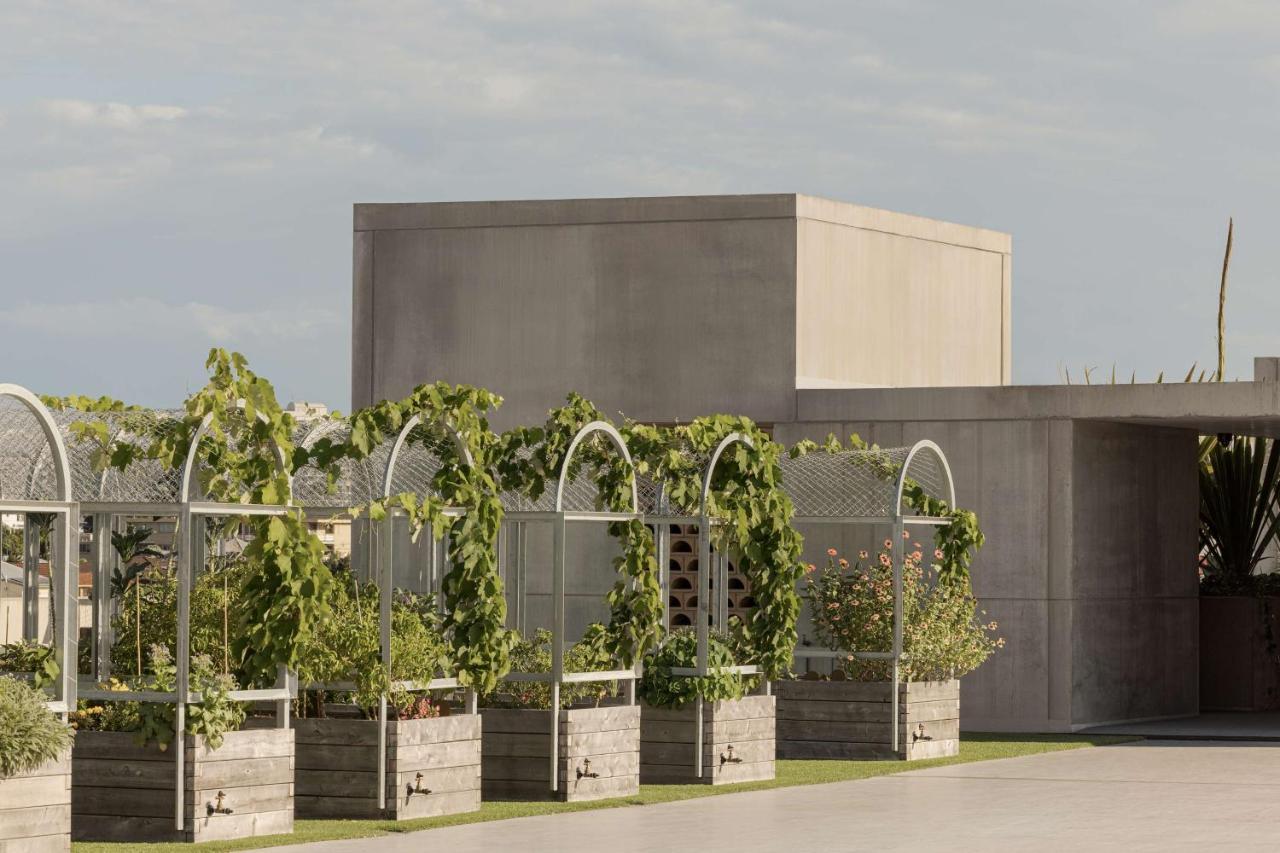 The Calile Hotel Brisbane Eksteriør billede The winery at H.L. Stubb's vineyard